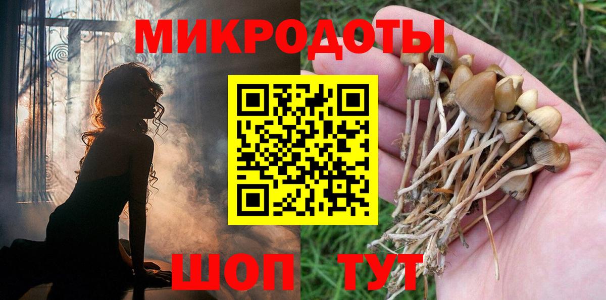 Галлюциногенные грибы Magic Shrooms Волхов